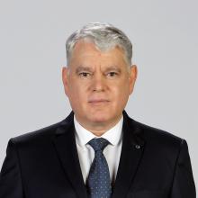 Andrei Frimescu